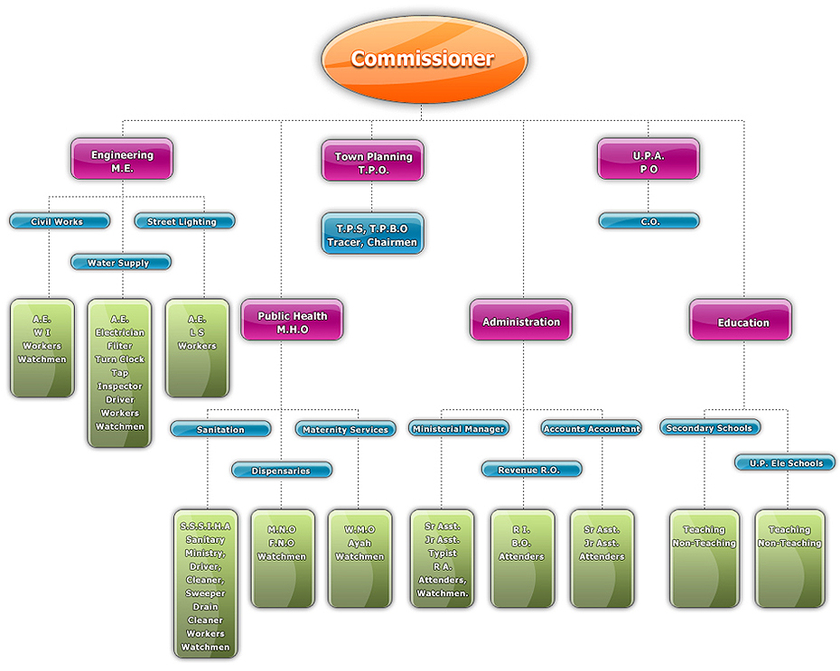 Organisational Chart